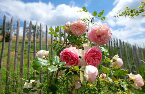 Ferienwohnung Blasi mit Alpensicht - Foto 35