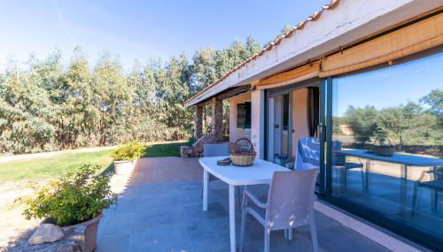 Statzu Butzu - Foto 3