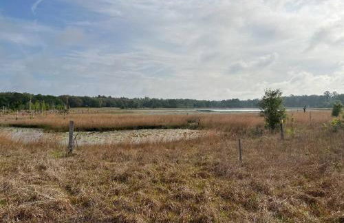 Half Moon Lake property - Foto 20