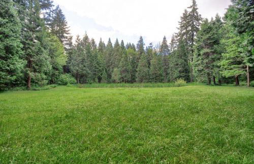 Blissful Solitude Cottage - Foto 42