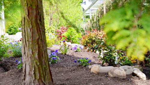 Aparthotel Stoll - Foto 3, Garden