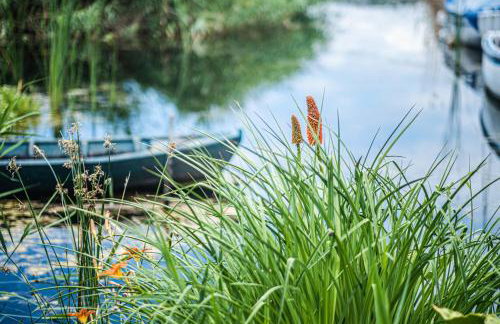 Nera Etwa House - Photo 61