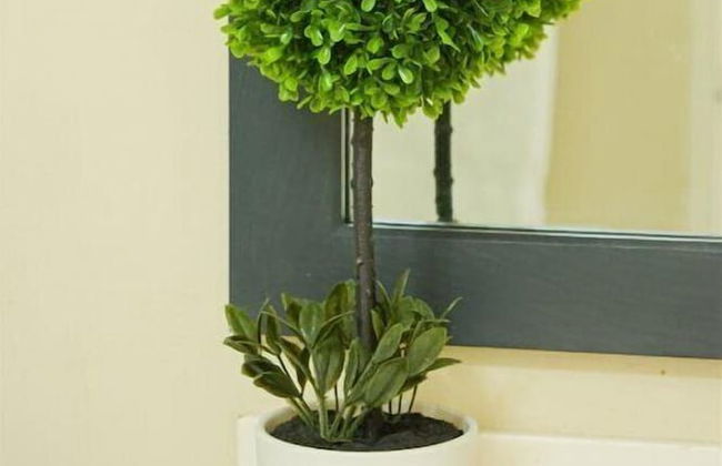 Brompton 41 by Pro Homes Jamaica - Photo 36