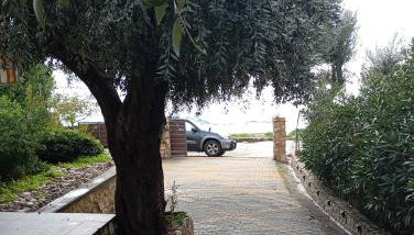 Δίπλα στο κύμα -Βeside the wave - Foto 4