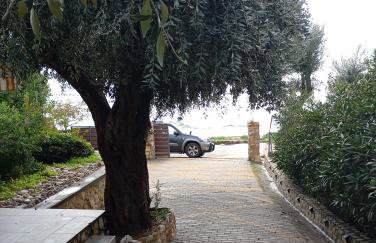 Δίπλα στο κύμα -Βeside the wave - Foto 4