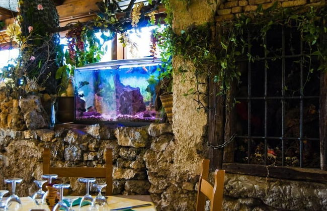 Agriturismo Mare e Monti - Foto 34