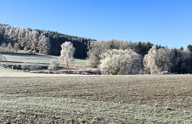 Garden Escape, Kleinwinklarn - Foto 31