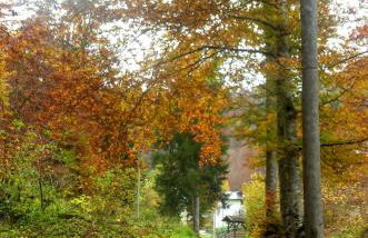 Appartamenti Dolomiti - Foto 12