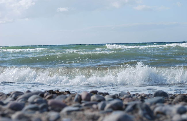 Ferienhaus in der Naehe der Ostsee - Photo 80