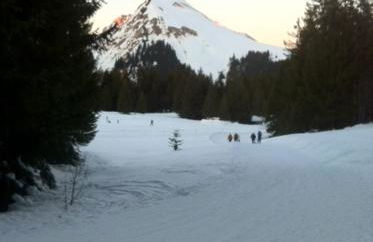 Terrasses Du Mont Blanc - Foto 2