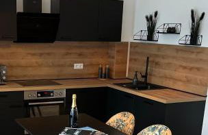 ANER2 STYLISCHE Ferienwohnung mit Sauna in Dresden Weißer Hirsch - Foto 8