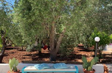 Casa Trullo Bianco: Casa Vicino - Foto 24