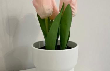 Il Melograno sul Naviglio - Photo 22