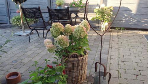 KLEINE LANDLIEBE - Foto 3