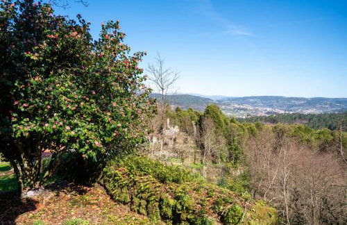 Quinta das Lamas - Antiga Adega - Foto 37