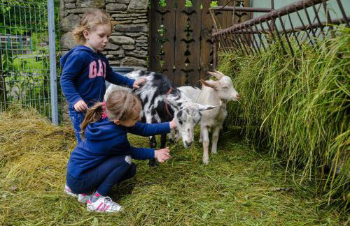 Farma Lama Dom Gościnny - Foto 52