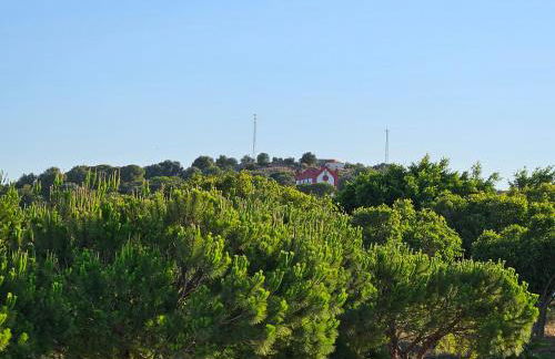 SOL Y PLAYA - Foto 31