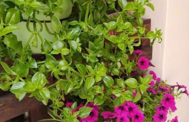 Art apartment - Foto 41