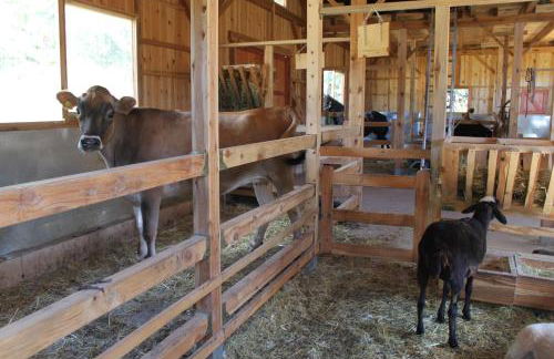 Eco Urbión - Foto 138