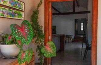 Canto dos pássaros - Foto 27