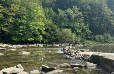 Strefa Ciszy Bieszczady domki z jacuzzi lub z banią z hydromasażem - Foto 39