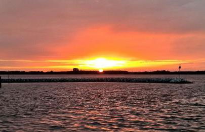 Seeschwalbe 56 - Foto 22