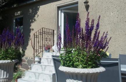 Strandhaus Mariflor - Foto 1