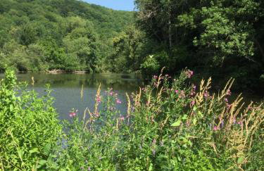 Ferienwohnung „Blaues Schild“ - Foto 22
