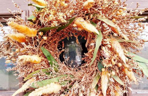 Holle - Land Holidays, parterre Ferienwohnung - Foto 8