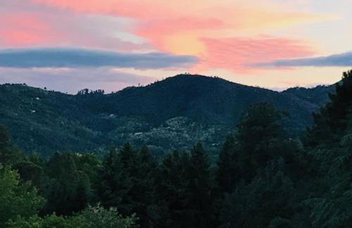 Gîte des 3 vallées - Le soleil des Cévennes - Foto 2