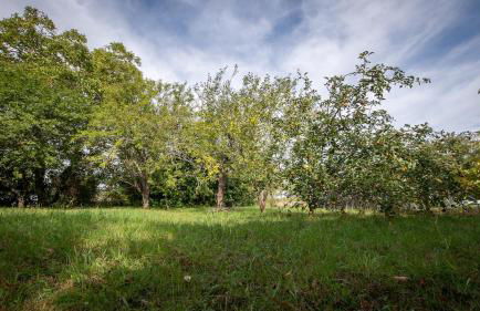 Le Petit Mona Althéa - Foto 13