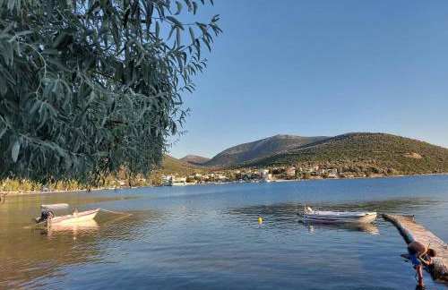 Vitamin sea Studio - Foto 33