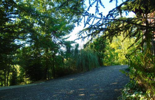 Quinta da Chouza Agroturismo e Enoturismo - Foto 55