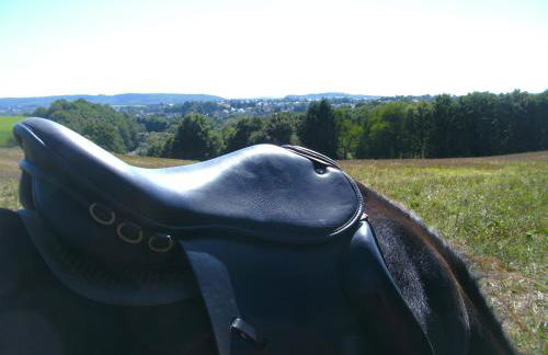 Ferienwohnung Schwarzhof Hahnekräh am Bostalsee - Foto 19