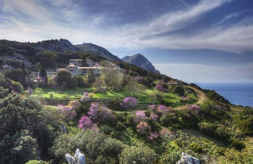 Blue Dream Villa Kymi Evia-Platana Village - Photo 43