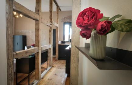 Altstadt Apartment in Torgau mit Balkon und Kunstgarten - Foto 16