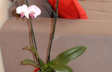 Beach & Sea Apt, Fast WIFI, Airco, Private Parking and Pool - Foto 23