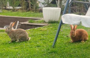 Cascina Danila - Foto 21