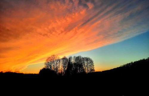Ferienwohnung in Bissendorf - Foto 39