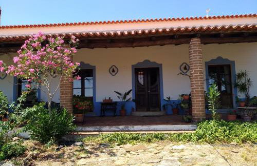 Aproveite o sabor do Alentejo - Foto 4