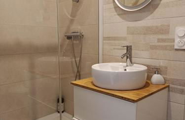 Appartement Hestia F1 bis + terrasse hyper centre - Foto 18