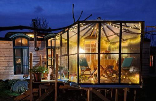 Tiny Haus - Sternenblick - Sauna - Foto 15