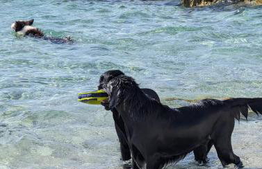 Holiday Home Zahtila - Foto 50