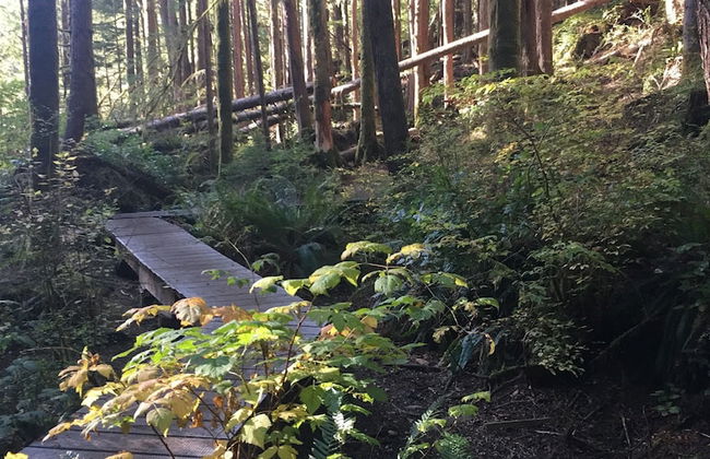 The Great Escape Secluded with Hot Tub - Foto 42