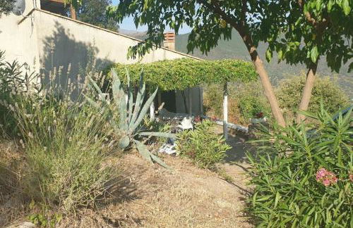 Vos vacances à Lama France Corse - Foto 14