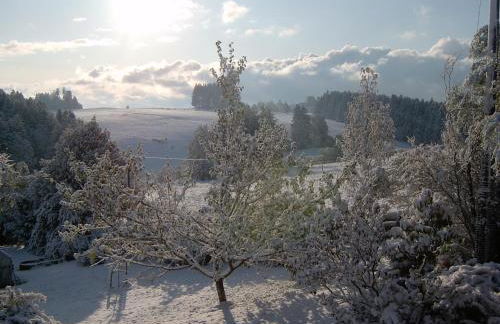 Ferienwohnung Freißl - Foto 18