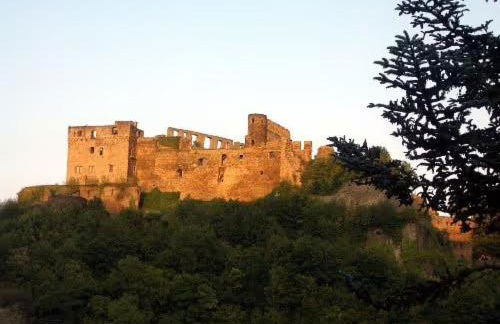 Ferienwohnung Rheinblick - Foto 26