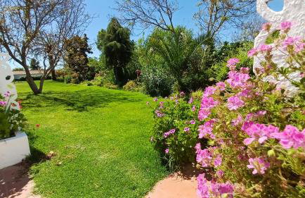 Monte Da Serralheira Agro Turismo - Foto 75