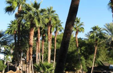 Suites at Tahiti Village Resort and Spa-No Resort Fee - Foto 34