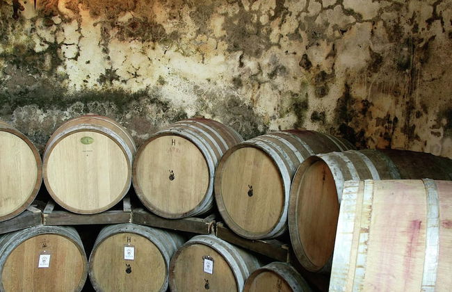 Charming Tuscan Farmhouse - Foto 19